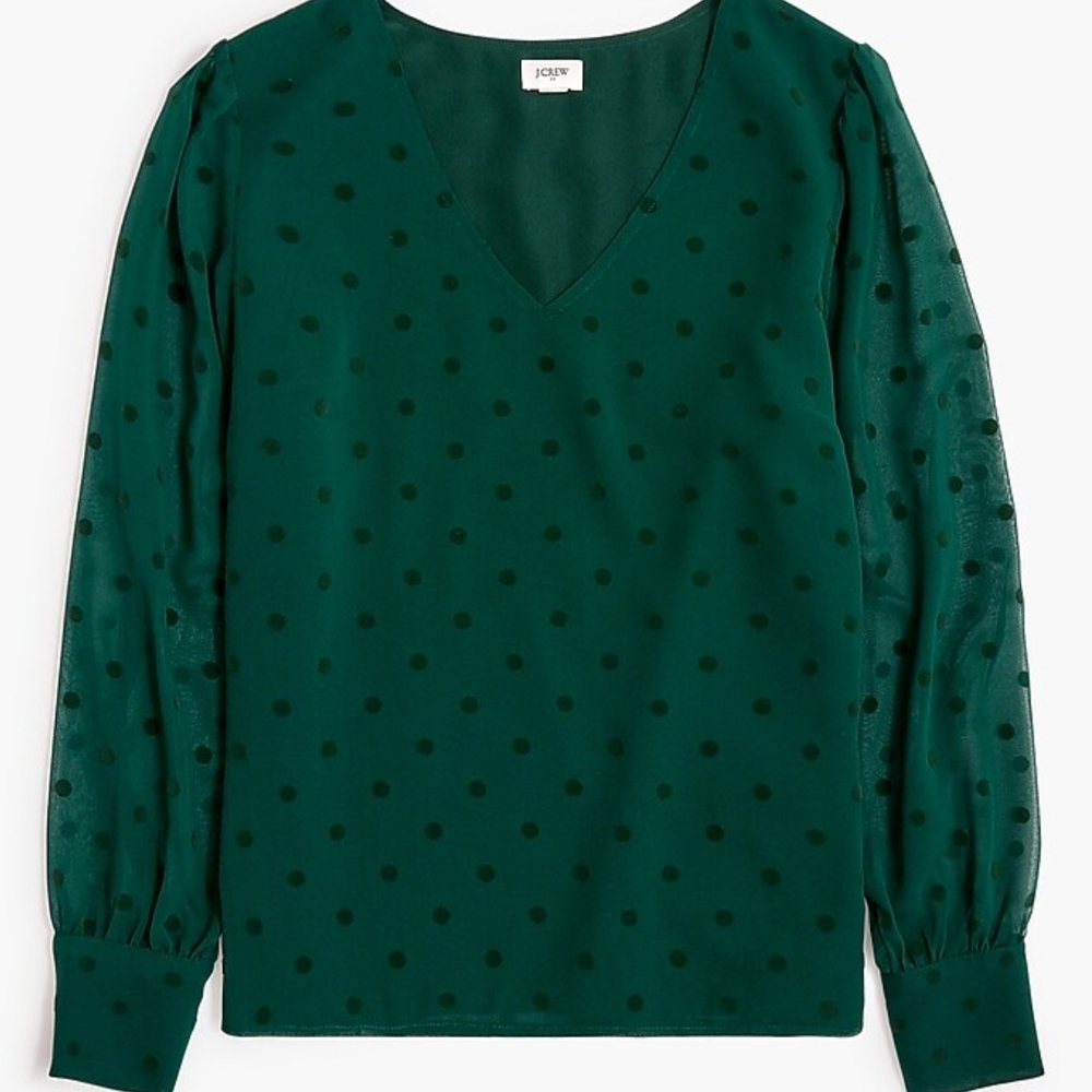 J. Crew Chiffon Dotted  Blouse